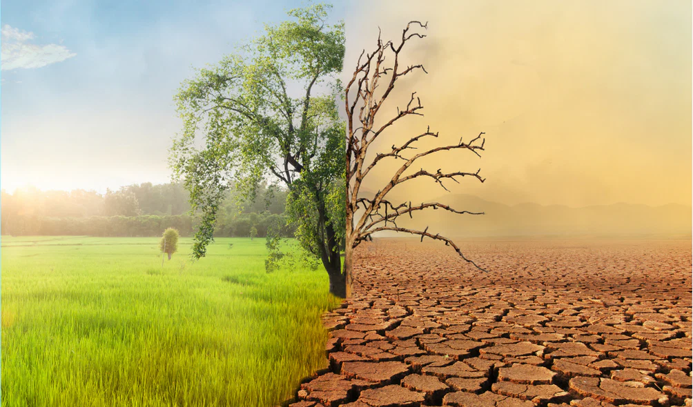 climate changes